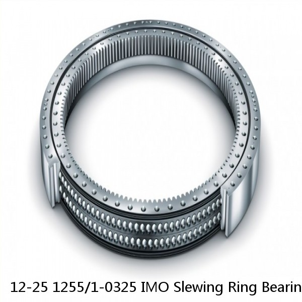 12-25 1255/1-0325 IMO Slewing Ring Bearings #1 small image