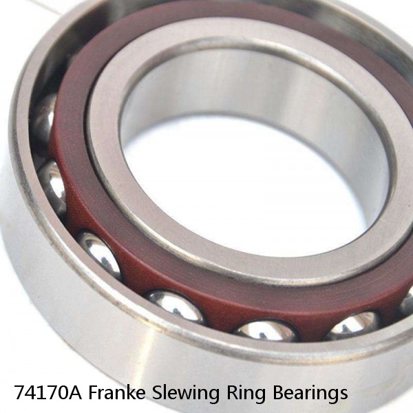 74170A Franke Slewing Ring Bearings #1 small image