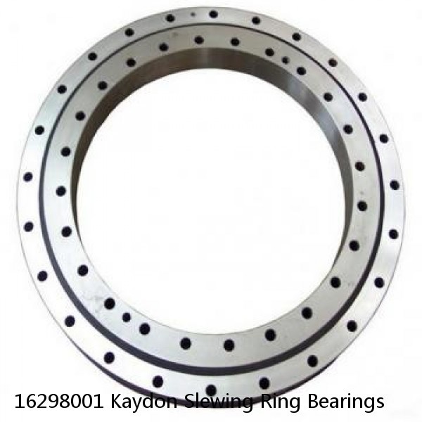 16298001 Kaydon Slewing Ring Bearings #1 small image