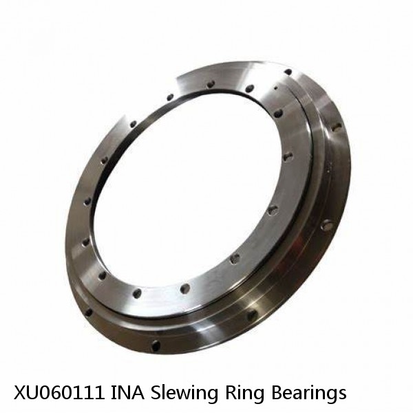 XU060111 INA Slewing Ring Bearings #1 small image