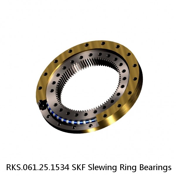 RKS.061.25.1534 SKF Slewing Ring Bearings #1 small image