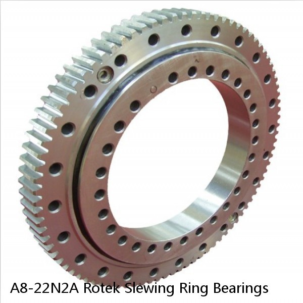 A8-22N2A Rotek Slewing Ring Bearings #1 small image