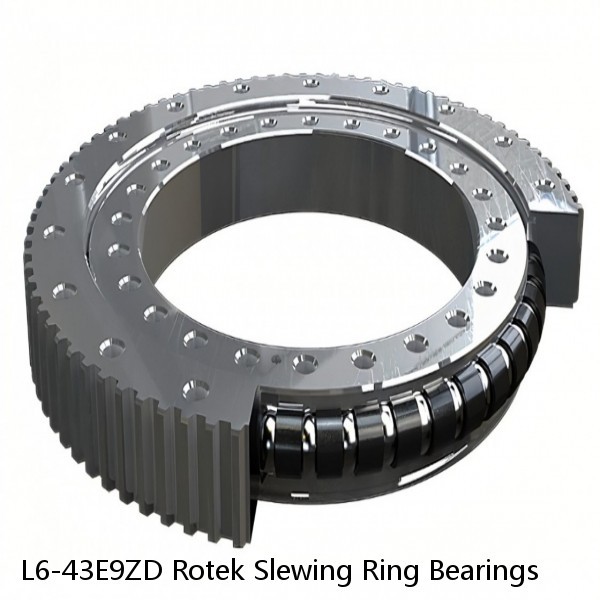 L6-43E9ZD Rotek Slewing Ring Bearings #1 small image