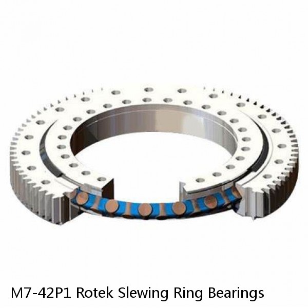 M7-42P1 Rotek Slewing Ring Bearings #1 small image