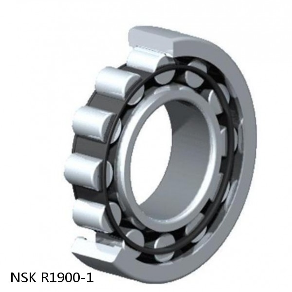 R1900-1 NSK CYLINDRICAL ROLLER BEARING #1 small image