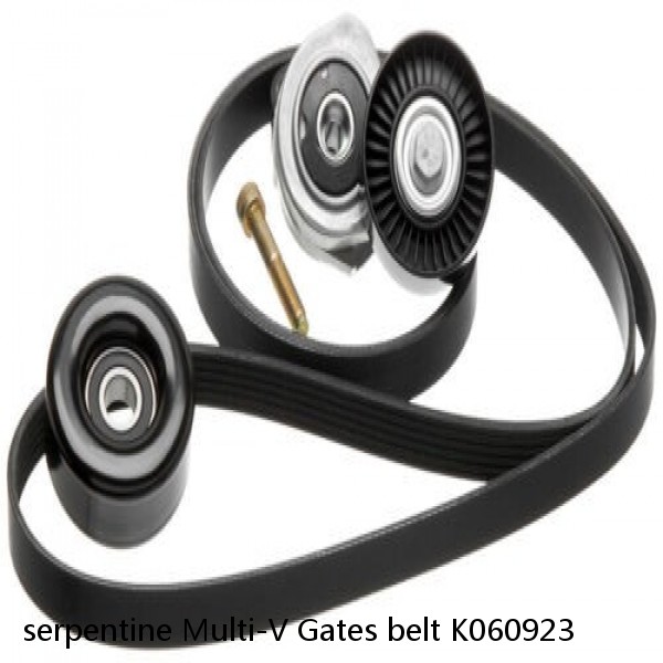serpentine Multi-V Gates belt K060923 #1 small image