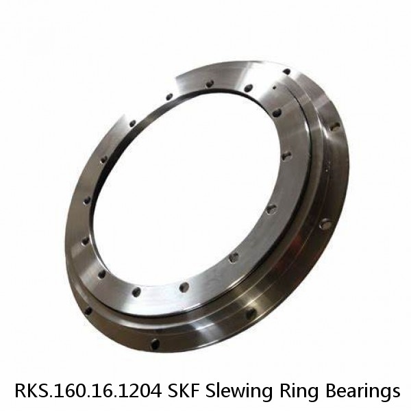 RKS.160.16.1204 SKF Slewing Ring Bearings #1 image