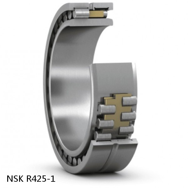 R425-1 NSK CYLINDRICAL ROLLER BEARING #1 image