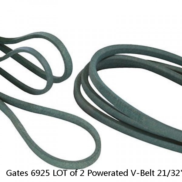 Gates 6925 LOT of 2 Powerated V-Belt 21/32" x 25" Lawn Mower Tractor NEW NOS #1 image