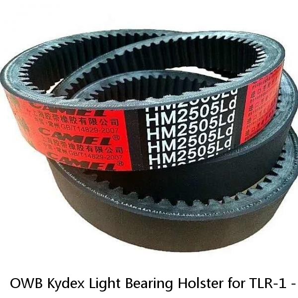 OWB Kydex Light Bearing Holster for TLR-1 - 50 Different Gun Models - Black #1 image