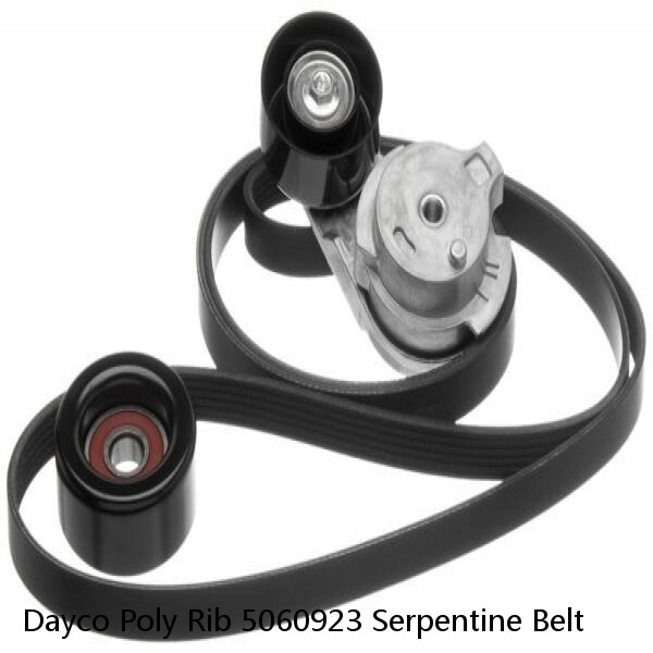 Dayco Poly Rib 5060923 Serpentine Belt #1 image